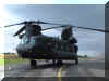CH-47_Chinook_USA_01.jpg (90037 bytes)