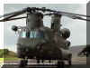CH-47_Chinook_USA_08.jpg (85711 bytes)