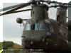 CH-47_Chinook_USA_10.jpg (86500 bytes)