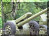 D-30_Russia_Howitzer_18.jpg (157145 bytes)