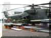 Mi-35_Helicopter_Russia_Diaporama_04.jpg (338881 bytes)