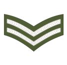 Belize Belizean Army ranks military combat field uniforms dress grades ...