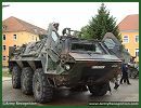 Germany's Economy Ministry has approved plans by defence group Rheinmetall to deliver a tank assembly plant to Algeria, according to a reply sent by the ministry following a request from a member of parliament. Rheinmetall's delivery to Algeria includes a production line to assemble the Fuchs wheeled armoured transport vehicle, as well as other parts valued at more than 28 million euros ($37 million), according to the document. 