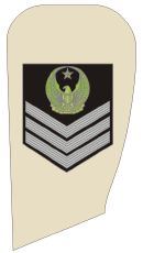 uae army ranks