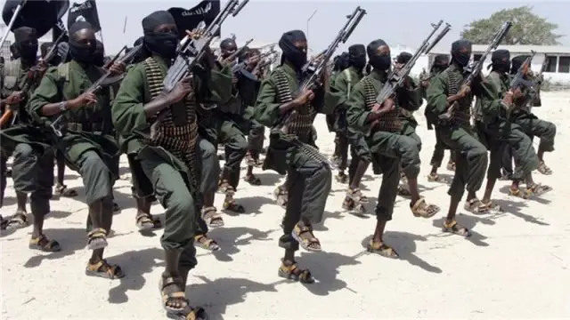 US troops and Somali forces killed al-Shebab insurgents in Somalia in a helicopter raid against the terrorist organization, a Pentagon spokesman said on Wednesday March 9.