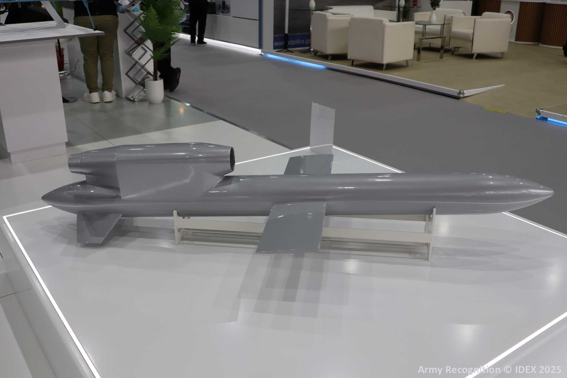 Ukraine Unveils Long-Range 'Flamingo' Missile Amid Global Support