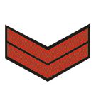 Guyana Guyanese Army ranks military combat field uniforms dress grades ...